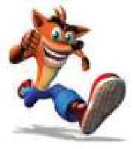 Crash bandicoot!