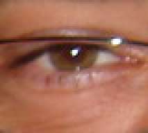 sagliets