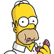 Homer J DDU