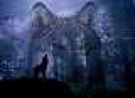 Wolver