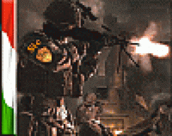 gmp82