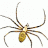markspiders